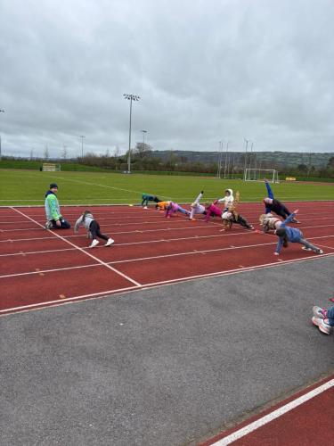 339cdcb6392a6965fddd10ec2bc268db